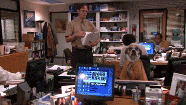 The Office Dwight GIF-source.gif